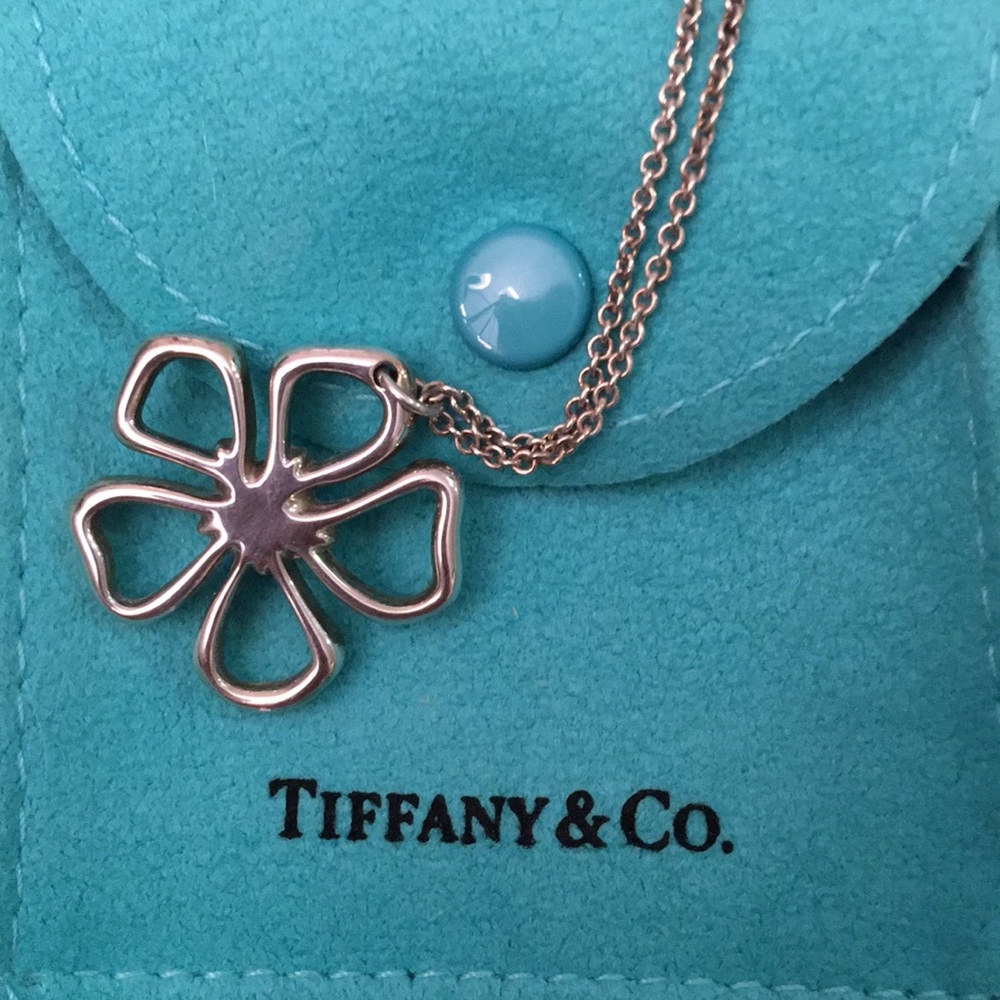 Tiffany Sterling Silver Daisy Pendant & Chain